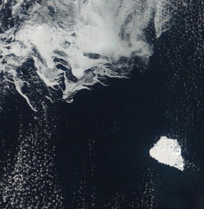 Skyfritt ved Bjørnøya 31. mars. Og drivisen er et godt stykke unna. (Nord er opp til venstre). (Foto: (NASA Terra MODIS)) Skyfritt ved Bjørnøya 31. mars. Og drivisen er et godt stykke unna. (Nord er opp til venstre). (Foto: (NASA Terra MODIS))