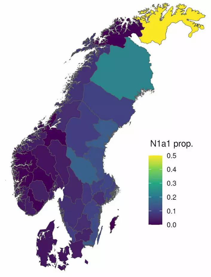 Under eller før vikingtiden kom en uralsk genkomponent inn fra nordøst til Norge og Sverige. Denne er i dag mest vanlig hos samer og finner, men den har spredt seg til hele Skandinavia. Den er sterkest til stede hos folk i Finnmark. Den er også tydelig i mye av Sverige.