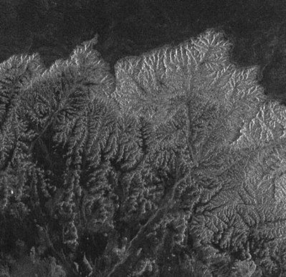 Svart/hvitt bilde av blad eller bregner? Nei, dette er fjell og daler i grensetraktene mellom Somalia og Etiopia, sett med bilderadaren på ENVISAT. (ESA)