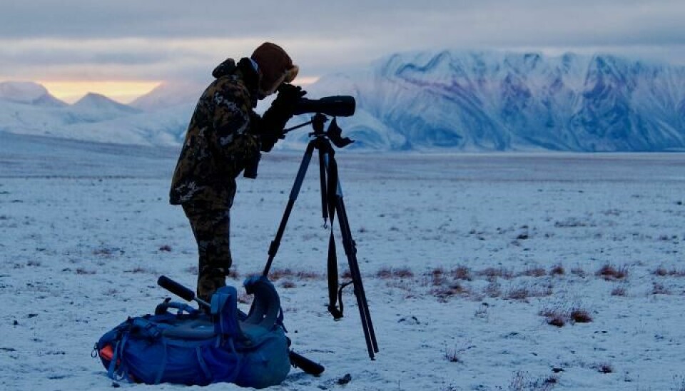 Forskere på feltarbeid på Svalbard.