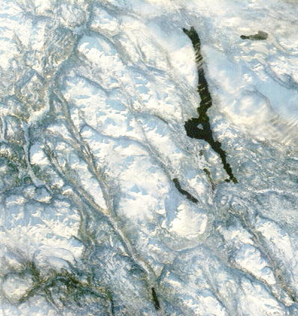 Snøen kom før kulda i Engerdal i år. Femunden var ihvert fall fortsatt åpen på formiddagen 8. desember. (Foto: (NASA MODIS Rapid Response))