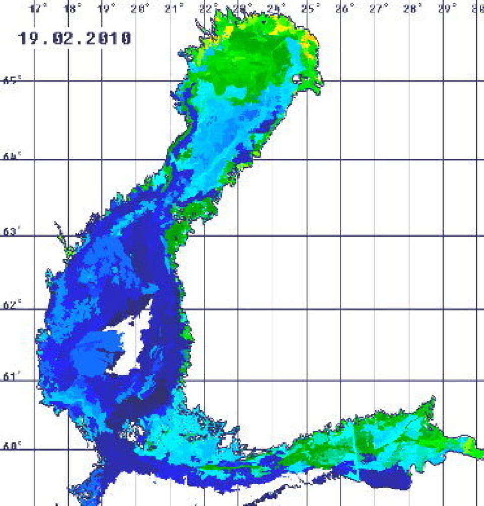 Gårsdagens iskart for Bottenviken. (ESA PolarView)