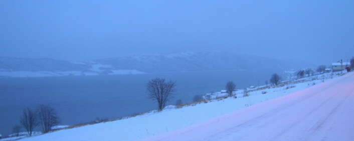 Kveøya i Kvæfjord i snødrev og mørketid. (Foto: Øystein A. Vangsnes) Kveøya i Kvæfjord i snødrev og mørketid. (Foto: Øystein A. Vangsnes)