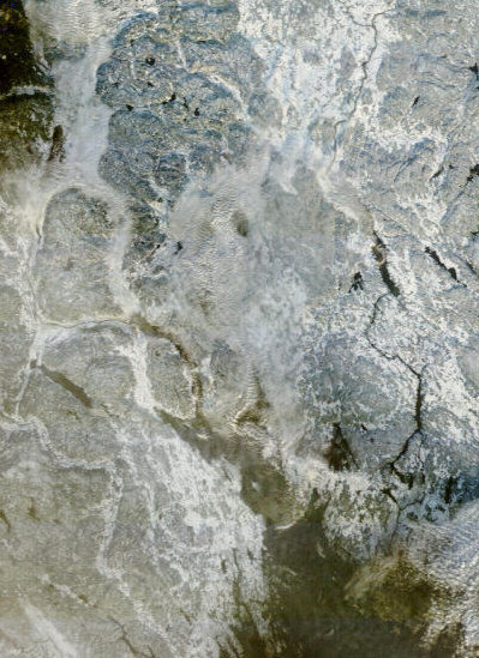 Dessverre lå det tåke både i Tyrifjorden, Nordre Øyeren og Indre Oslofjord på formiddagen i dag. Bedre lykke neste gang ... (Foto: (NASA MODIS Rapid Response))