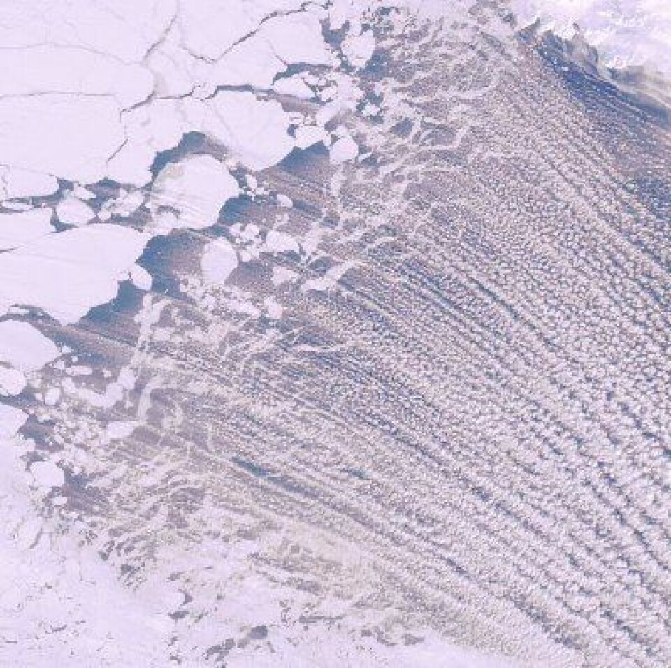 Vind, is, åpent vann og skydannelse. Jeg måtte bare ta med dette fine bildet fra det optiske instrumentet på ENVISAT, tatt mellom Svalbard og Grønland 27 mars. (Nord er skrått opp til venstre). (ESA)
