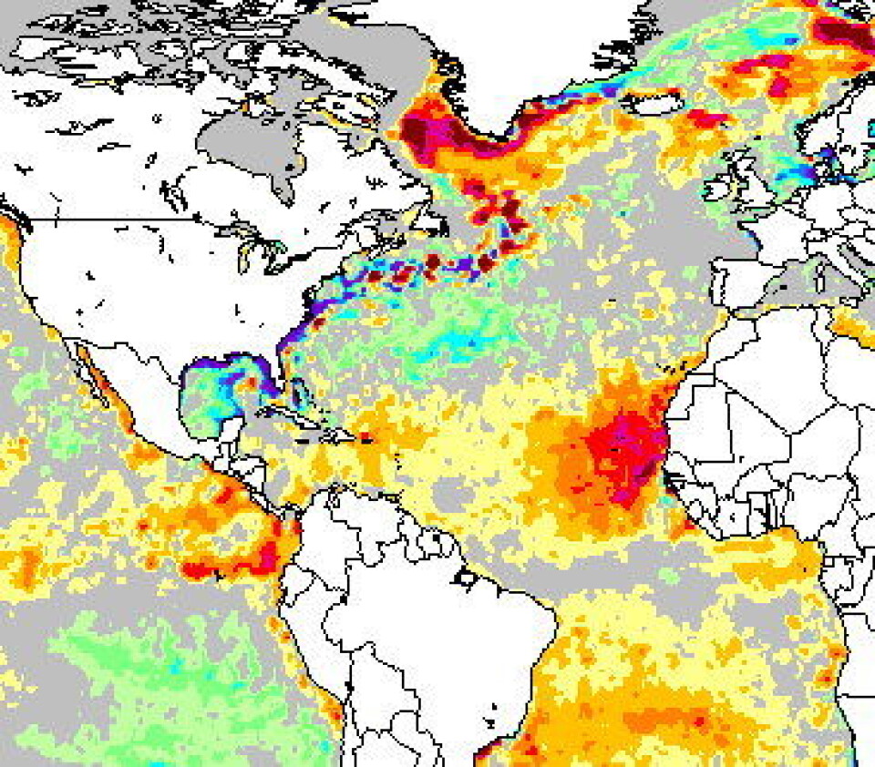 Høy temperatur i havoverflaten mange steder i Atlanterhavet nå. I forhold til normalen er det varmest i Barentshavet og ved Grønland. Kaldest er det utenfor Florida og i Skagerrak. (NOAA)