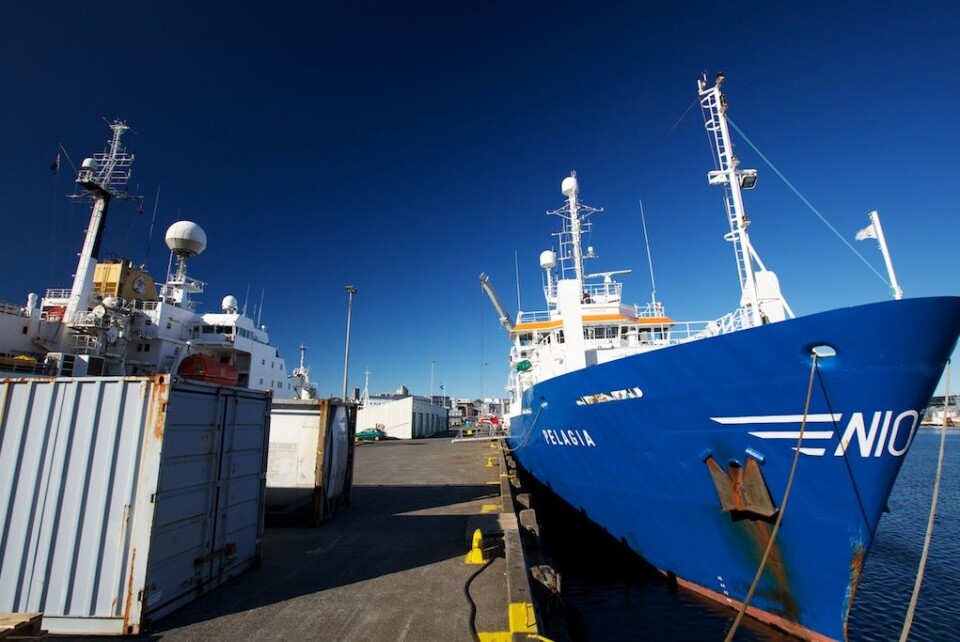 Det nederlandske forskningsskipet «Pelagia» kom inn til Reykjavik i morges. Til venstre ligger «James Clark Ross». Foto: (Foto: Sindre Skrede)