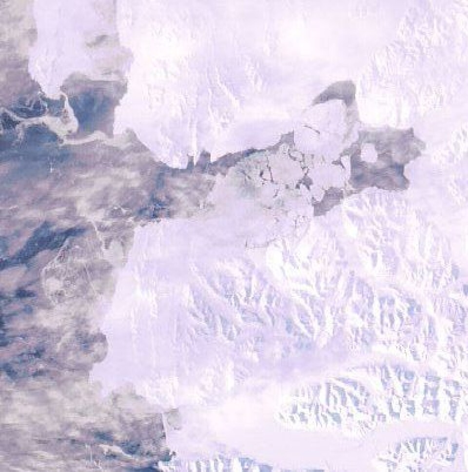 Svalbard sett fra ENVISAT 7 april, omtrent på samme tidspunkt som flyet mitt lettet med kurs for Oslo. (ESA)