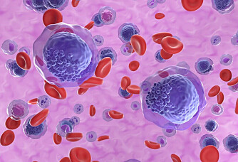 Norwegian discovery gives hope for blood cancer patients