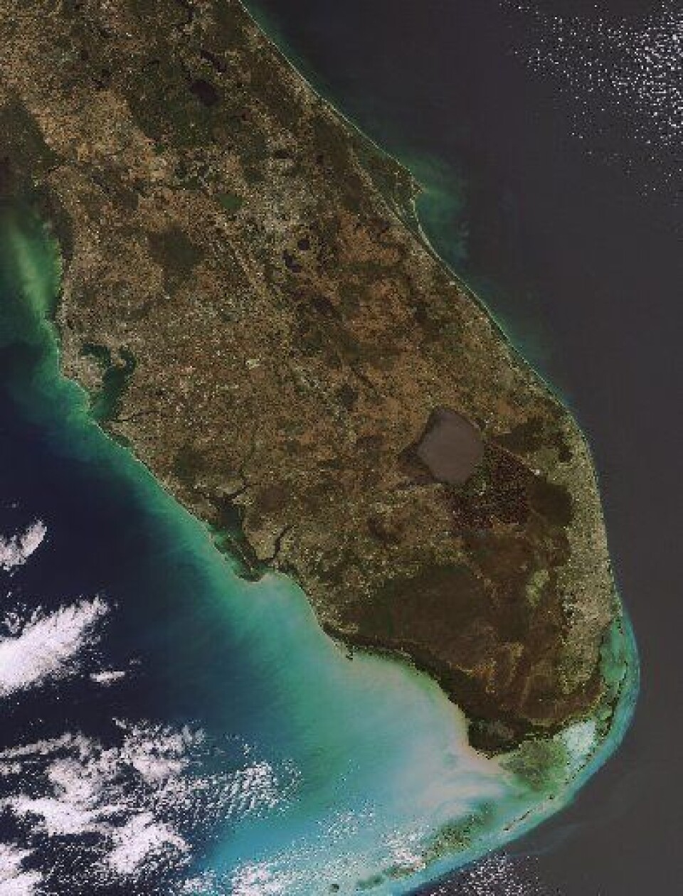 Florida sett fra ESAs ENVISAT 28 feb. Det er faktisk uvanlig kaldt i sjøen rundt Florida i år, akkurat som i Skagerrak og Kattegat. Uten sammenlikning for øvrig ... (ESA)