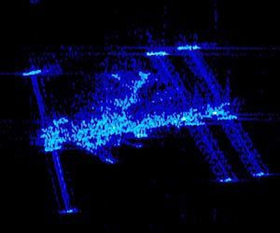 Den internasjonale romstasjonen sett fra radarsatellitten TerraSAR-X. Avstanden var 195 km, radarens bølgelengde er 3 cm. (DLR)