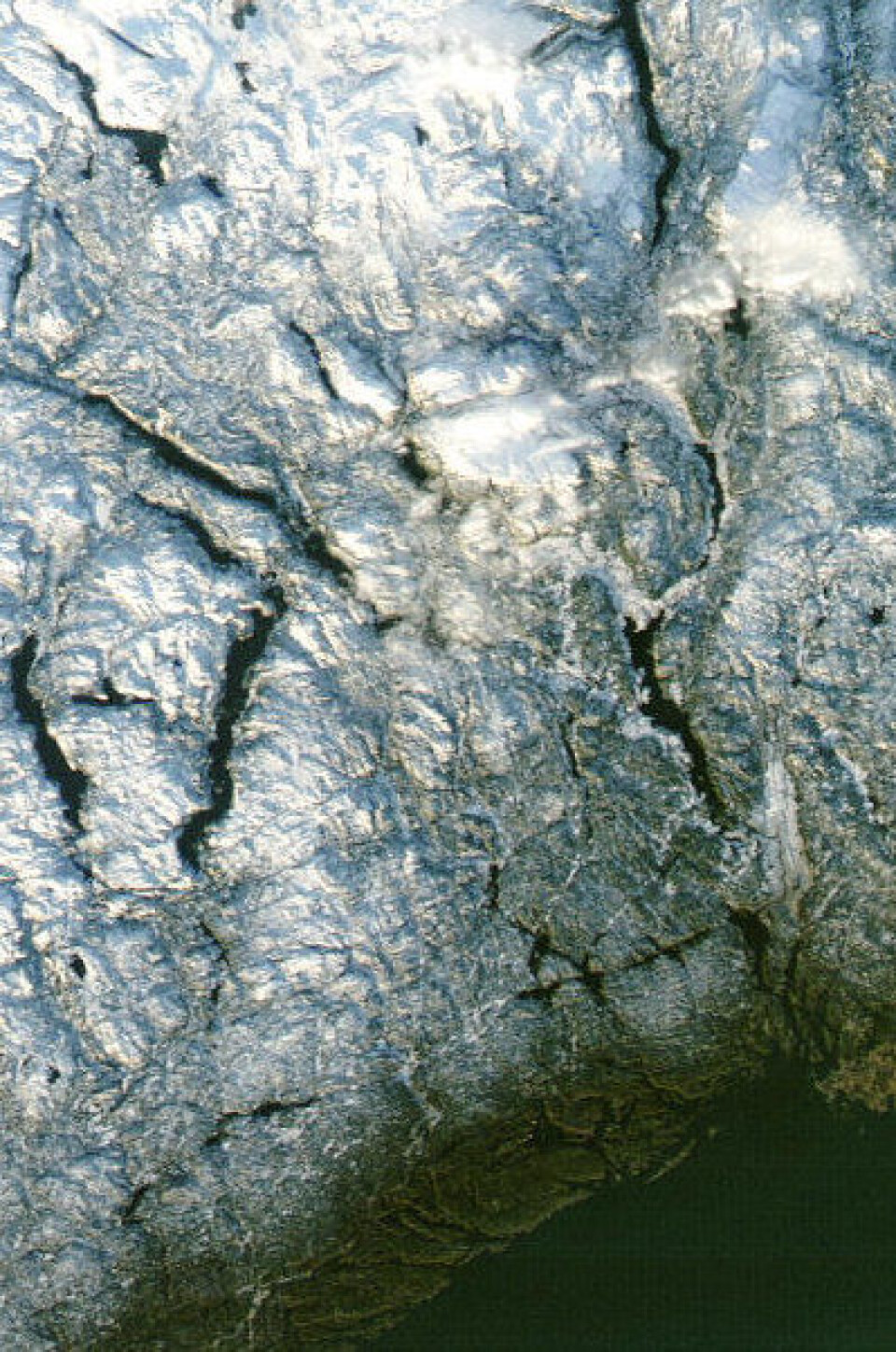 Telemark sett 19 desember fra NASA-satellitten Aqua. Brukbart med snø i indre strøk, men ute ved kysten mangler snøen. (Foto: (NASA MODIS))