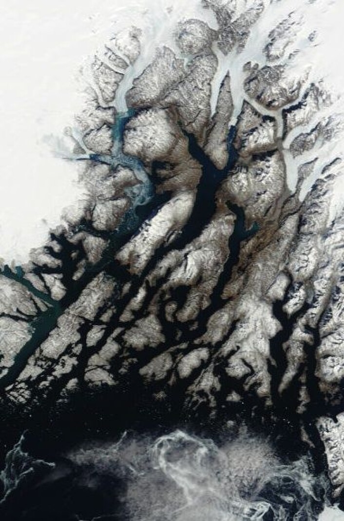 Nesten vårstemning i traktene rundt den gamle norrøne Austerbygda på Grønland, men fortsatt noe drivis på havet 9. april i år. Hvordan var det for tusen år siden, tro? (Foto: (NASA Terra MODIS)) Nesten vårstemning i traktene rundt den gamle norrøne Austerbygda på Grønland, men fortsatt noe drivis på havet 9. april i år. Hvordan var det for tusen år siden, tro? (Foto: (NASA Terra MODIS))