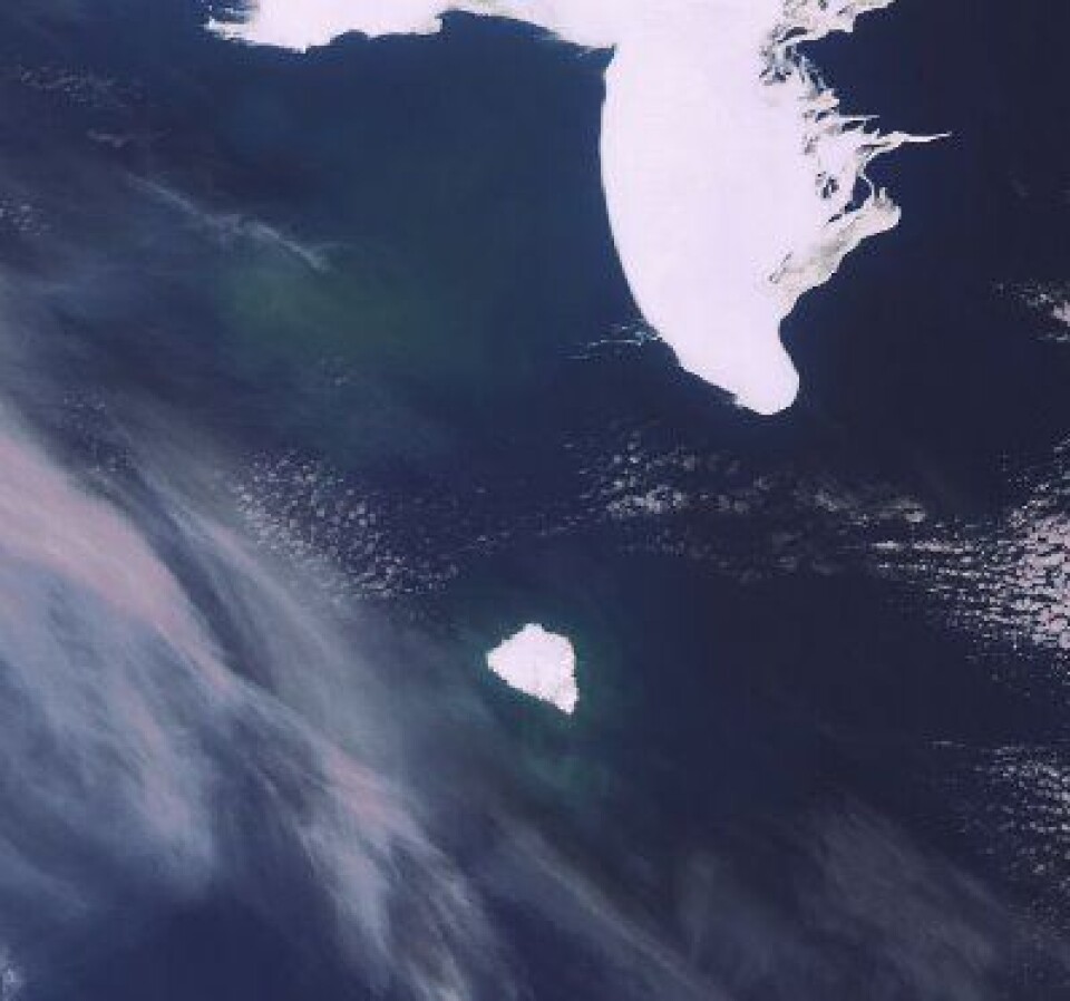 Bjørnøya og deler av Barentshavet sett fra ENVISAT 23. april (bildet er litt forminsket). (ESA)