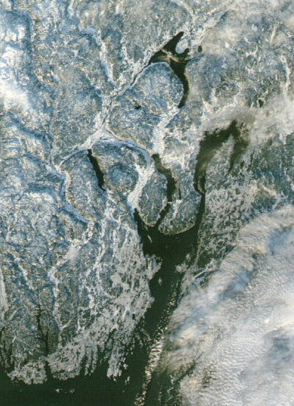 Hurra! NASA-satellitten Aqua kan i dag (21 desember) melde at det har kommet noe snø også i lavtliggende strøk i Østfold og Vestfold. (Foto: (NASA MODIS))
