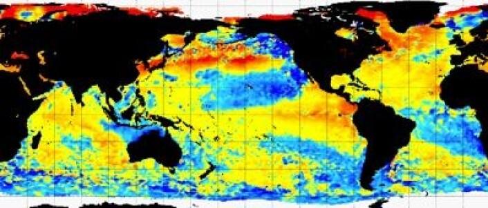 Temperatur i havoverflaten målt fra satellitt 2. august. (Foto: (NOAA)) Temperatur i havoverflaten målt fra satellitt 2. august. (Foto: (NOAA))