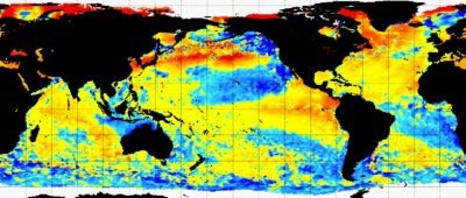 Temperatur i havoverflaten målt fra satellitt 2. august. (Foto: (NOAA))