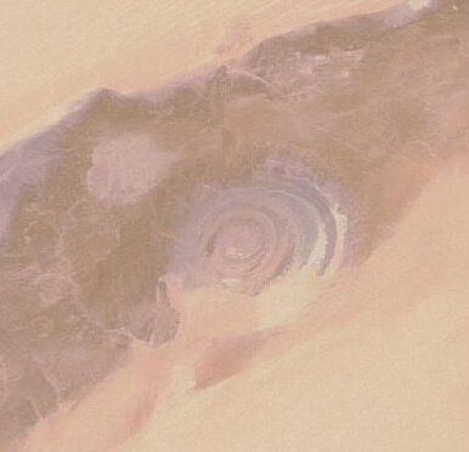 Bilde tatt fra ENVISAT over Vest-Afrika. Hva slags geologisk fenomen ser vi her? (ESA)