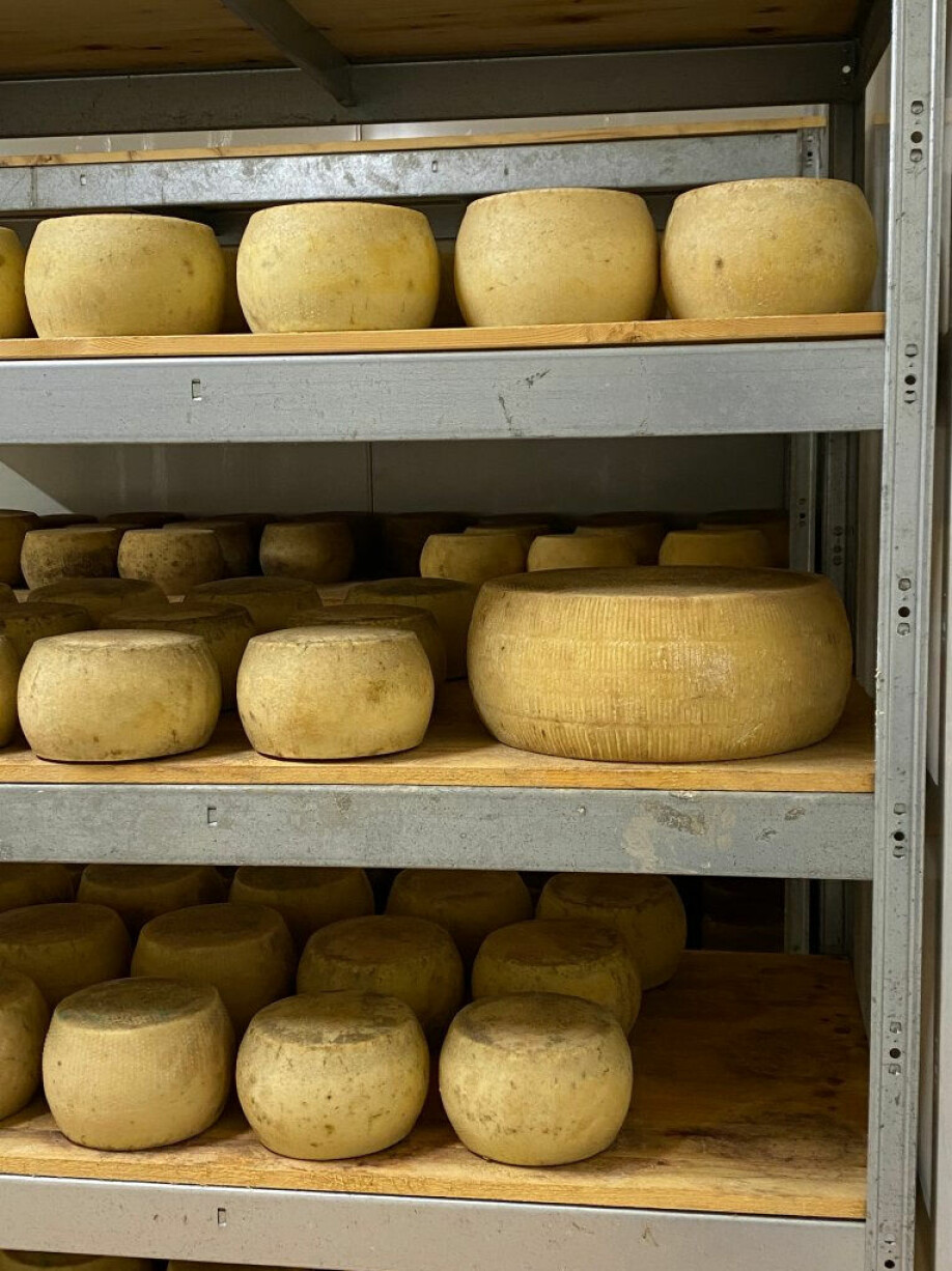 Pecorino is a type of Italian cheese made from sheep's milk. The cheese is compared to parmesan, but has a sharper and clearer sheep's milk taste. The different regions have different variants. In Sardinia they make pecorino sardo.