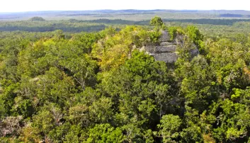 Nye funn: Forskere har avslørt eldgamle maya-byer i jungelen