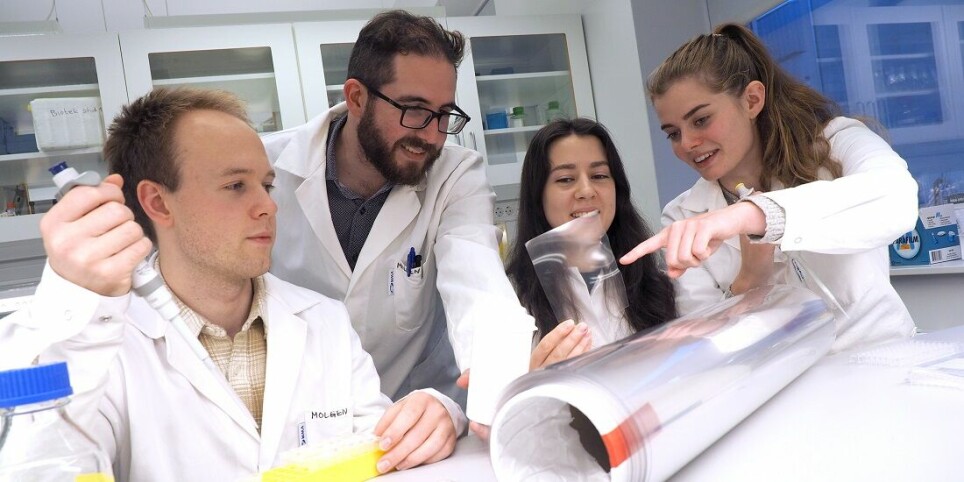 Asle Hammer Berget, Gaston Courtade, Susanne Hansen Troøyen and Tina Dahlgren are doing research on enzymes that can contribute to solving a big enviornmental issue.