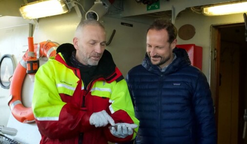 Torsken er tilbake i Oslofjorden, men fjorden er ikke friskmeldt Torsken er tilbake i Oslofjorden, men fjorden er ikke friskmeldt