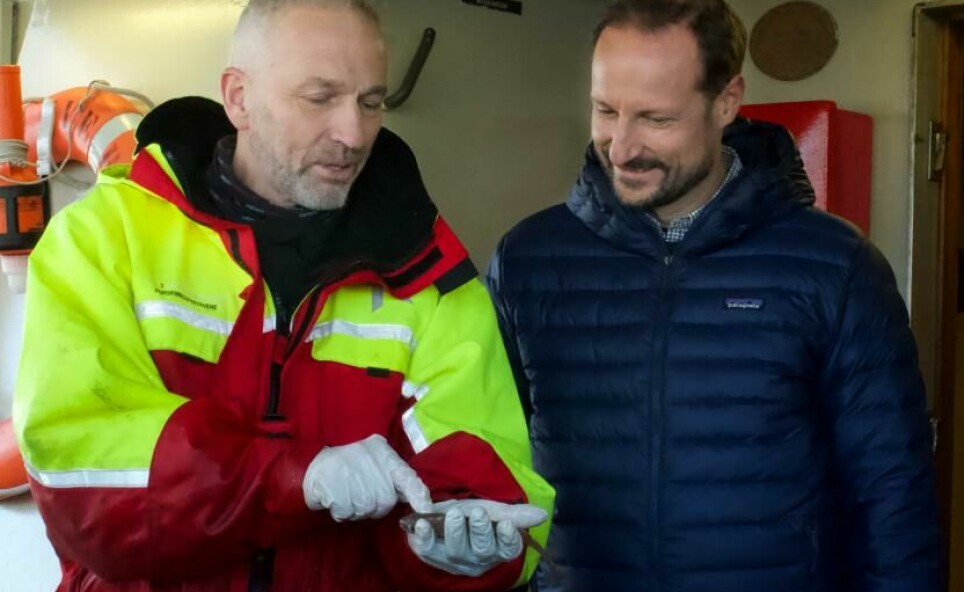 Ketil Hylland og kronprins Haakon teller opp fisk under forskningstokt i Oslofjorden.