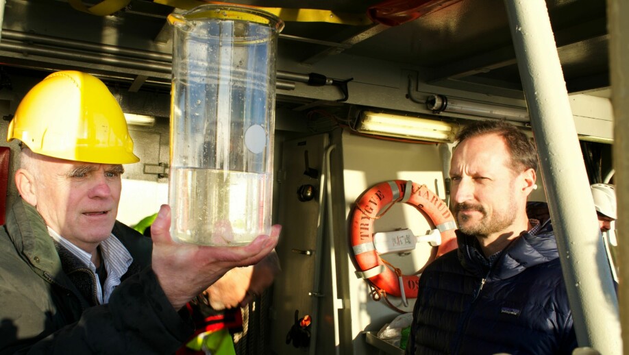 Stein Kaartvedt og kronprins Haakon kikker på nærmere på en vannprøve med plankton og bunndyr fra Oslofjorden.