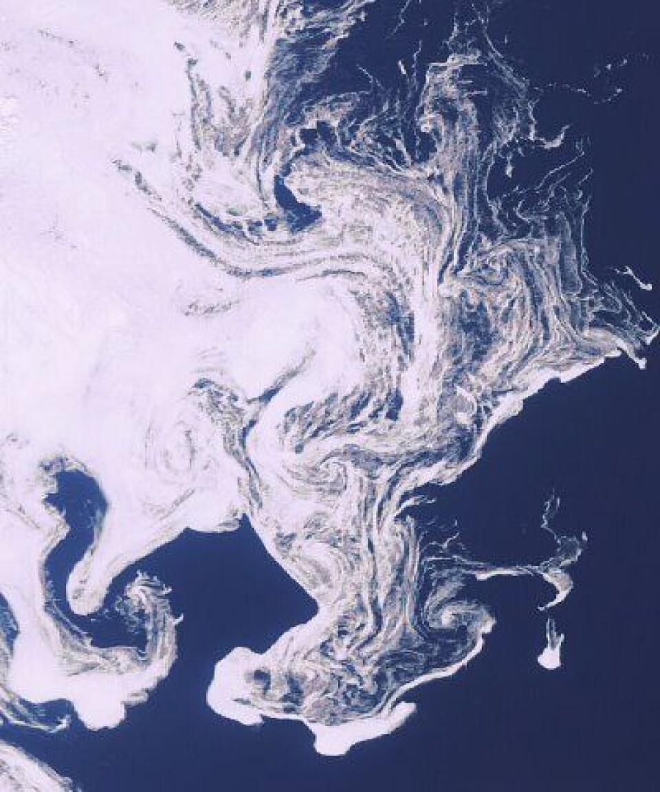 Isdans i Framstredet mellom Grønland og Svalbard 29. april, sett fra ENVISAT. (ESA)