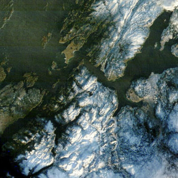Ikke skiføre overalt, men noe snø var det i Sør-Trøndelag fredag 17. januar. (Foto: (NASA Terra MODIS)) Ikke skiføre overalt, men noe snø var det i Sør-Trøndelag fredag 17. januar. (Foto: (NASA Terra MODIS))