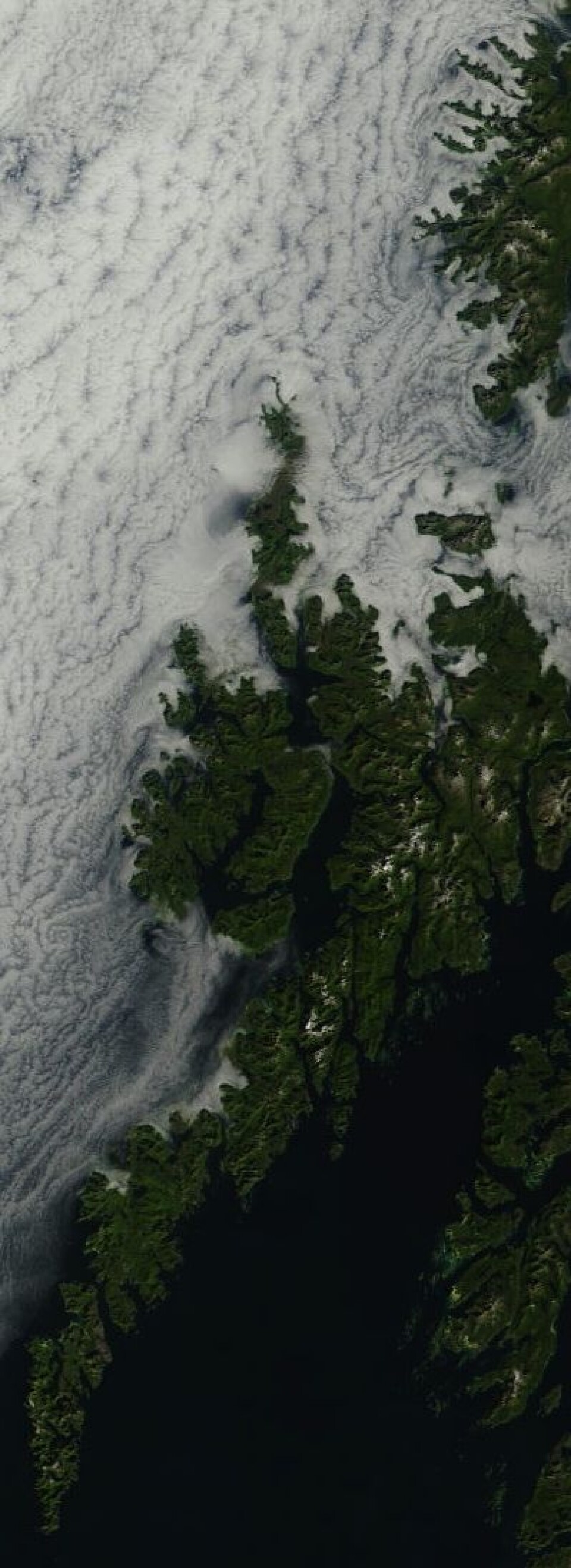 Lofoten og Vesterålen sett fra NASAs satellitt Terra 14. august. Vi satser på at skyene fjerner seg til rom-jubileet på Andøya. (Foto: (NASA Terra MODIS))