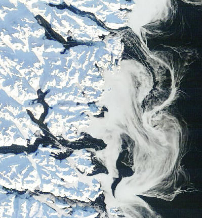 Fjorder, fjell og drivis sør-øst på Grønland, sett fra NASAs satellitt Terra 17. januar. (Foto: (NASA Terra MODIS)) Fjorder, fjell og drivis sør-øst på Grønland, sett fra NASAs satellitt Terra 17. januar. (Foto: (NASA Terra MODIS))