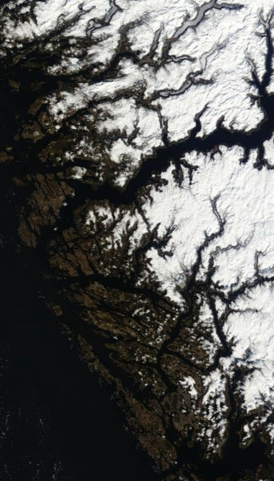 Sen vår på Vestlandet, sett fra Terra-satellitten lørdag 27. april. (Foto: (NASA Terra MODIS))