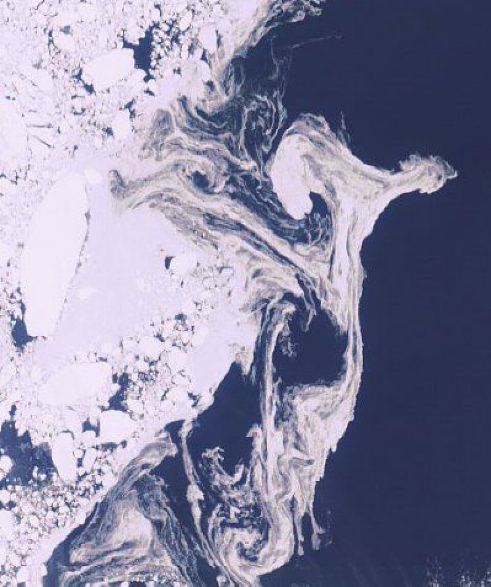 Isflak og isvirvler i Framstredet 5. mai, på vei mot smelting i Norskehavet senere i sommer. (ENVISAT/ESA)