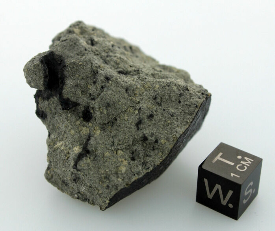 Tissint-meteoritten.