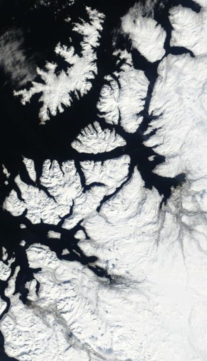 Til tross for april-temperatur en grad over normalen: Det var ikke mye grønt å se da NASAs satellitt Terra passerte over Alta i Finnmark 3. mai. (Foto: (NASA Terra MODIS)) Til tross for april-temperatur en grad over normalen: Det var ikke mye grønt å se da NASAs satellitt Terra passerte over Alta i Finnmark 3. mai. (Foto: (NASA Terra MODIS))