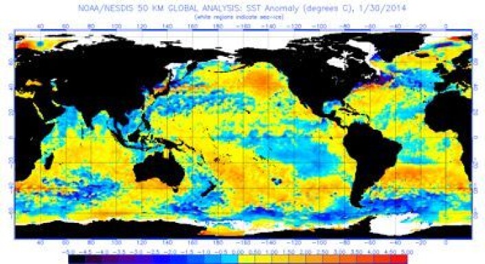 Satellittmålt temperatur i havoverflaten (avvik fra normalen) 30. januar 2014. (Foto: (NOAA)) Satellittmålt temperatur i havoverflaten (avvik fra normalen) 30. januar 2014. (Foto: (NOAA))