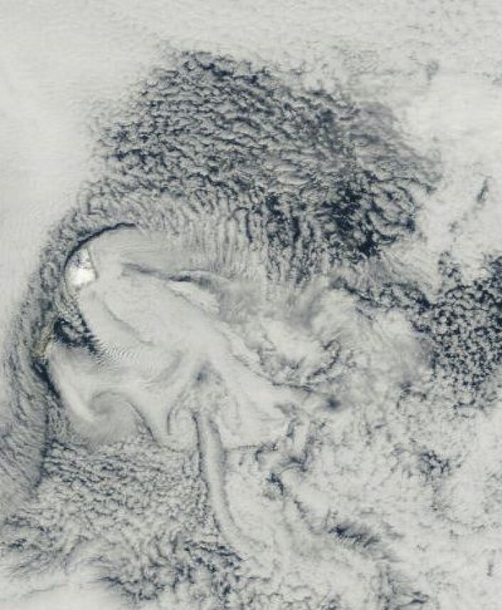 Jan Mayen (til venstre i bildet) bidro på jubileumdagen 18. august med et av de merkeligste skymønstre jeg har sett fra satellitt. (Punktstørrelse 0,5 km). (Foto: (NASA Terra MODIS)) Jan Mayen (til venstre i bildet) bidro på jubileumdagen 18. august med et av de merkeligste skymønstre jeg har sett fra satellitt. (Punktstørrelse 0,5 km). (Foto: (NASA Terra MODIS))