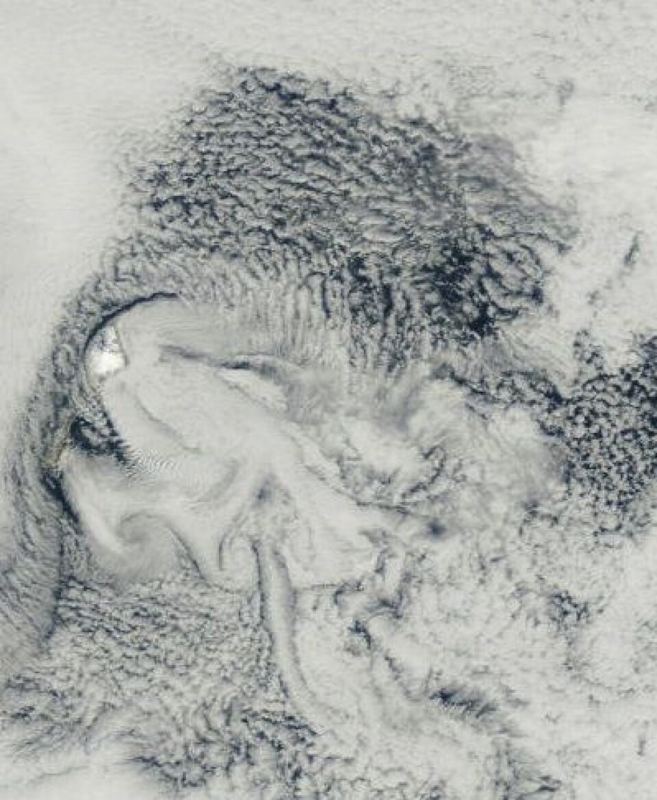 Jan Mayen (til venstre i bildet) bidro på jubileumdagen 18. august med et av de merkeligste skymønstre jeg har sett fra satellitt. (Punktstørrelse 0,5 km). (Foto: (NASA Terra MODIS))