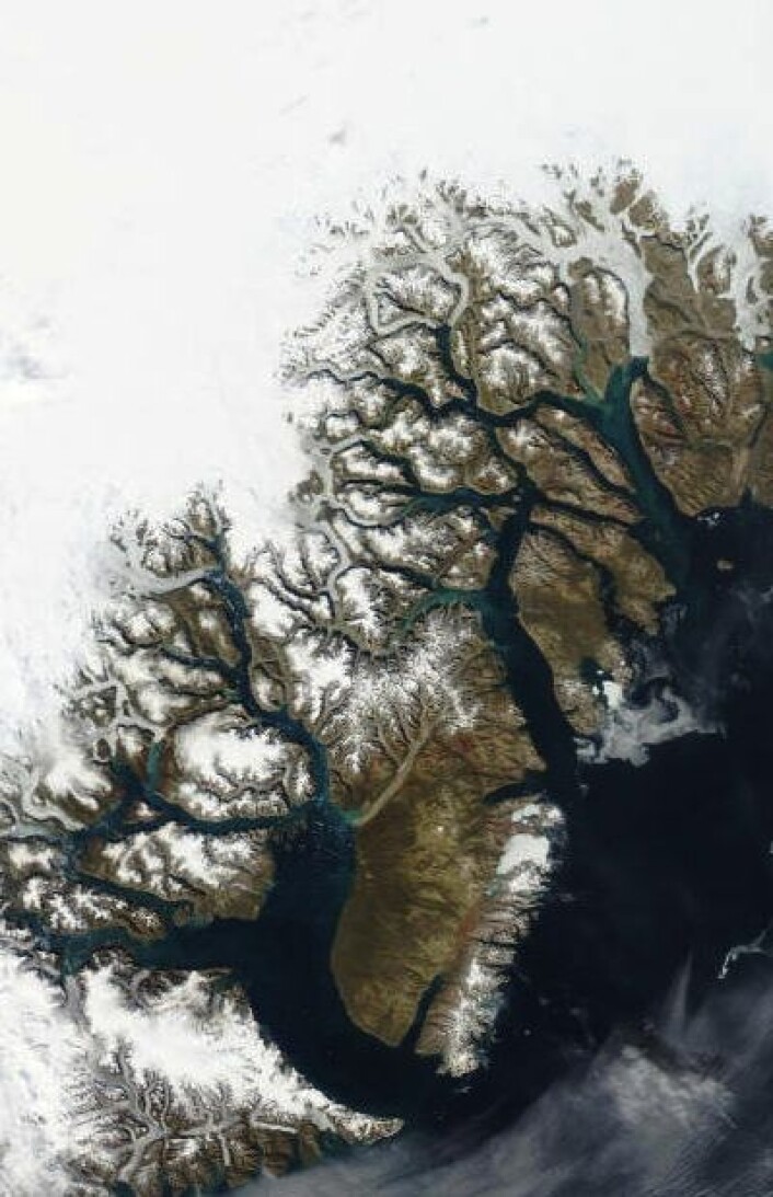 Det er varmest på østkysten av Grønland nå. Her er et isfritt Scoresby Sund og områdene som Norge og Danmark kranglet om, sett fra satellitt 19. august. Punktstørrelse 1 km. (Foto: (NASA Aqua MODIS)) Det er varmest på østkysten av Grønland nå. Her er et isfritt Scoresby Sund og områdene som Norge og Danmark kranglet om, sett fra satellitt 19. august. Punktstørrelse 1 km. (Foto: (NASA Aqua MODIS))