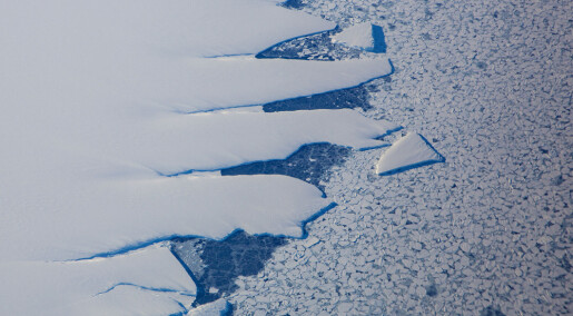 Forskere: Enorm isbrem i Antarktis er ikke nødt til å kollapse