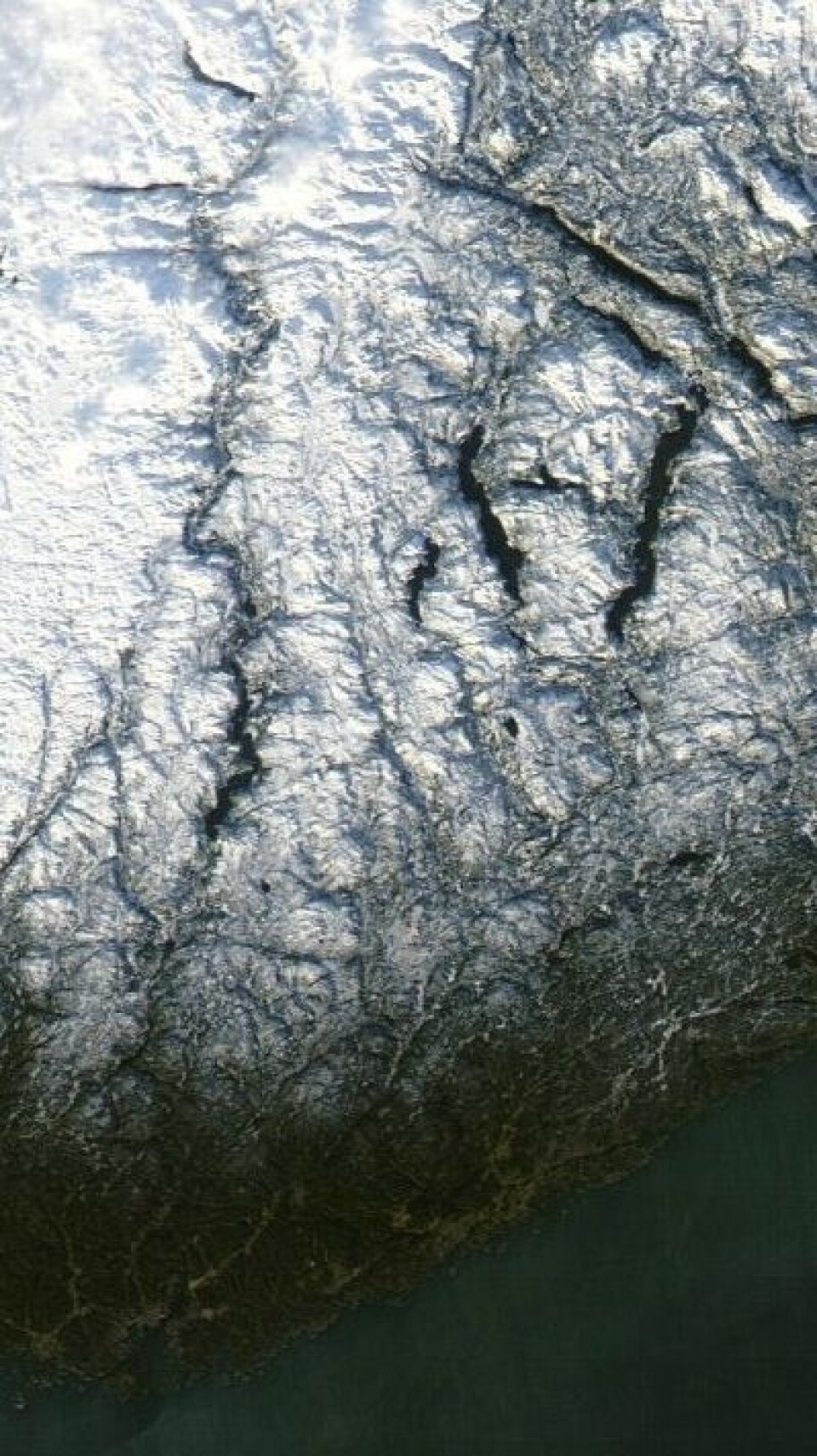 Klarvær i Agder og Telemark fredag 13 januar. Og lav sol. (Foto: (NASA MODIS))
