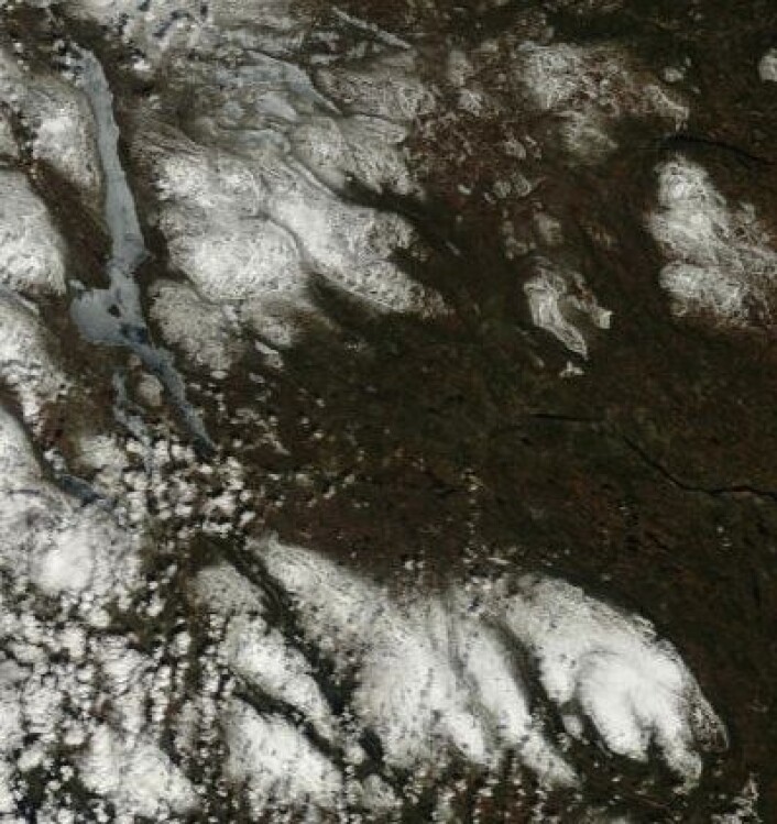 Fine farger i grensetraktene mot Sverige 10. mai. Like før isen forsvinner på Femunden nå. (Foto: (NASA MODIS)) Fine farger i grensetraktene mot Sverige 10. mai. Like før isen forsvinner på Femunden nå. (Foto: (NASA MODIS))