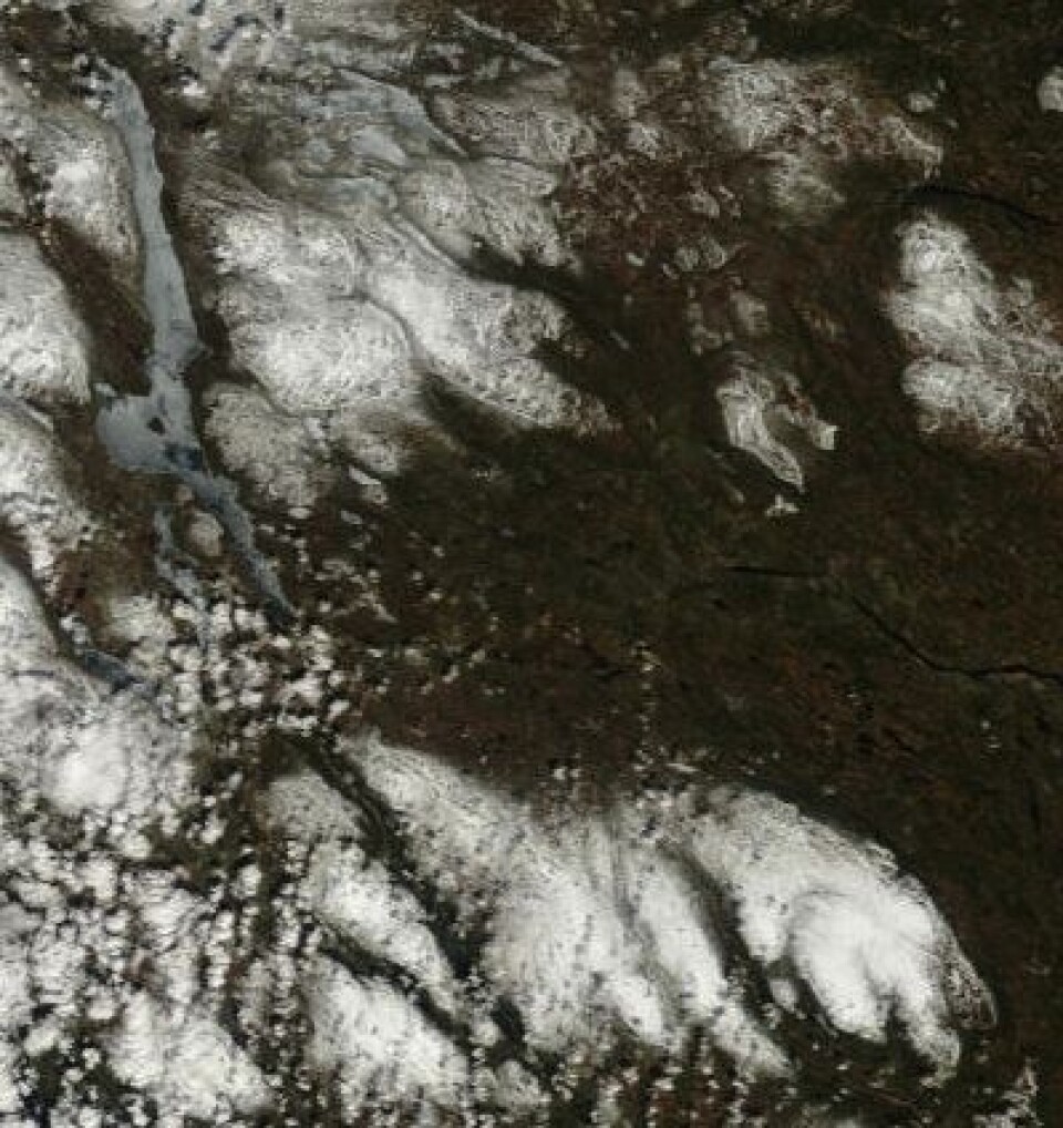 Fine farger i grensetraktene mot Sverige 10. mai. Like før isen forsvinner på Femunden nå. (Foto: (NASA MODIS))