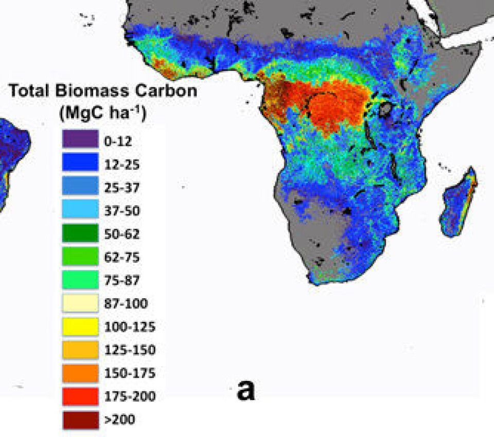 Karboninnholdet i skogen i Afrika, estimert fra NASA-målinger. (NASA JPL/CalTech, WinRock Int, Colorado State Univ, Univ Edinburgh, Applied GeoSolutions, Univ Leeds, ANPN, Wake Forest Univ, Univ Oxford).