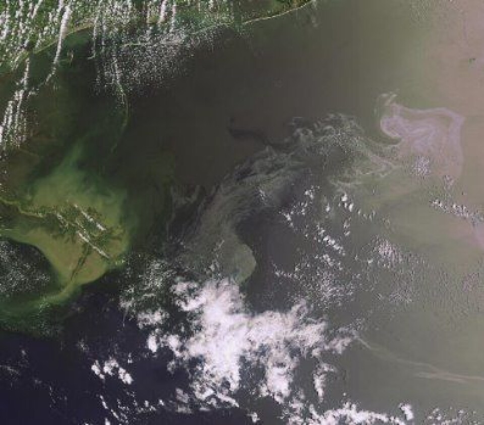 Oljesølet og Mississippi-deltaet sett fra ENVISAT på en nesten skyfri 21 mai. (ESA)