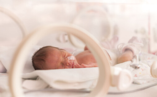 Dansk studie: Tidlig fødte klarer seg overraskende bra