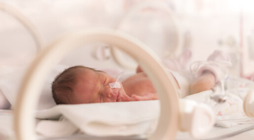 Dansk studie: Tidlig fødte klarer seg overraskende bra