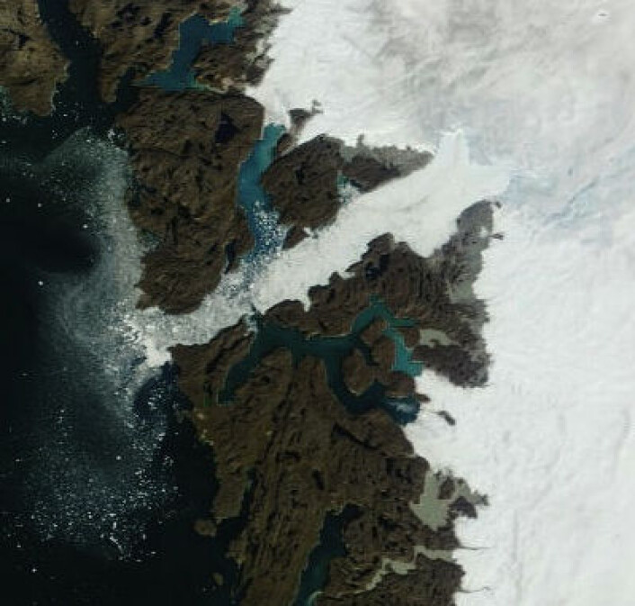 Jakobshavnbreen krymper raskt. Her sett fra satellitt 29. august 2012. (Foto: (NASA MODIS)) Jakobshavnbreen krymper raskt. Her sett fra satellitt 29. august 2012. (Foto: (NASA MODIS))