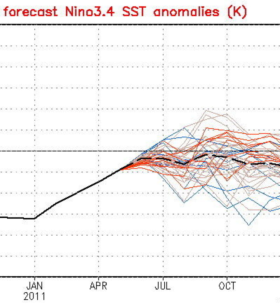 ENSO-prognose utgitt 3 juni. Hvert intervall er 0,5 grader C. Ingen tegn til noen varm El Ninjo i år. (NOAA)